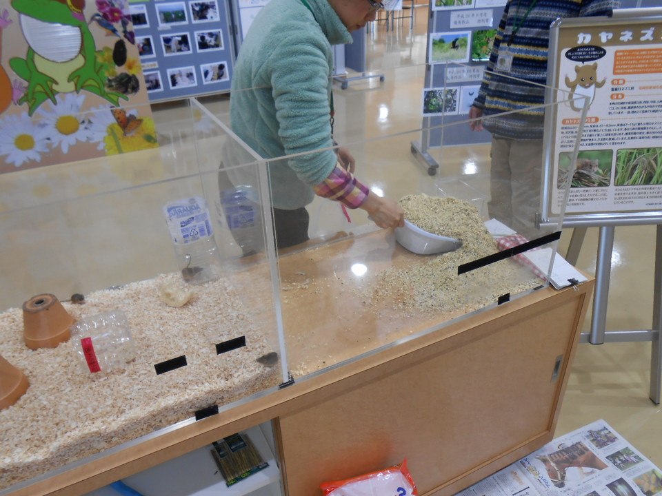 おうちのお掃除.JPGのサムネイル画像