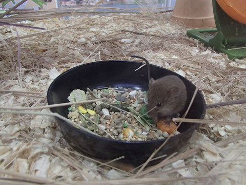 かわいい指.JPGのサムネイル画像