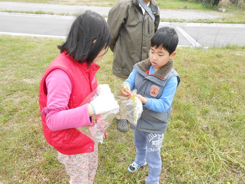 たくさんと採ったよ.JPGのサムネイル画像