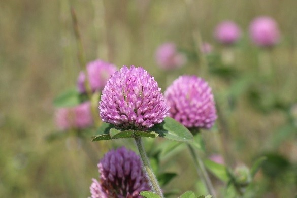 5月3番.jpgのサムネイル画像