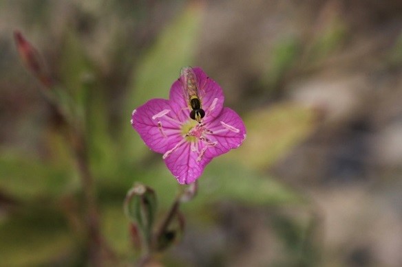 5月4番.jpgのサムネイル画像