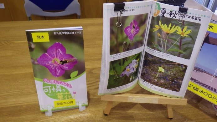 5月5番.jpgのサムネイル画像