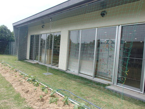 ②植える.JPGのサムネイル画像