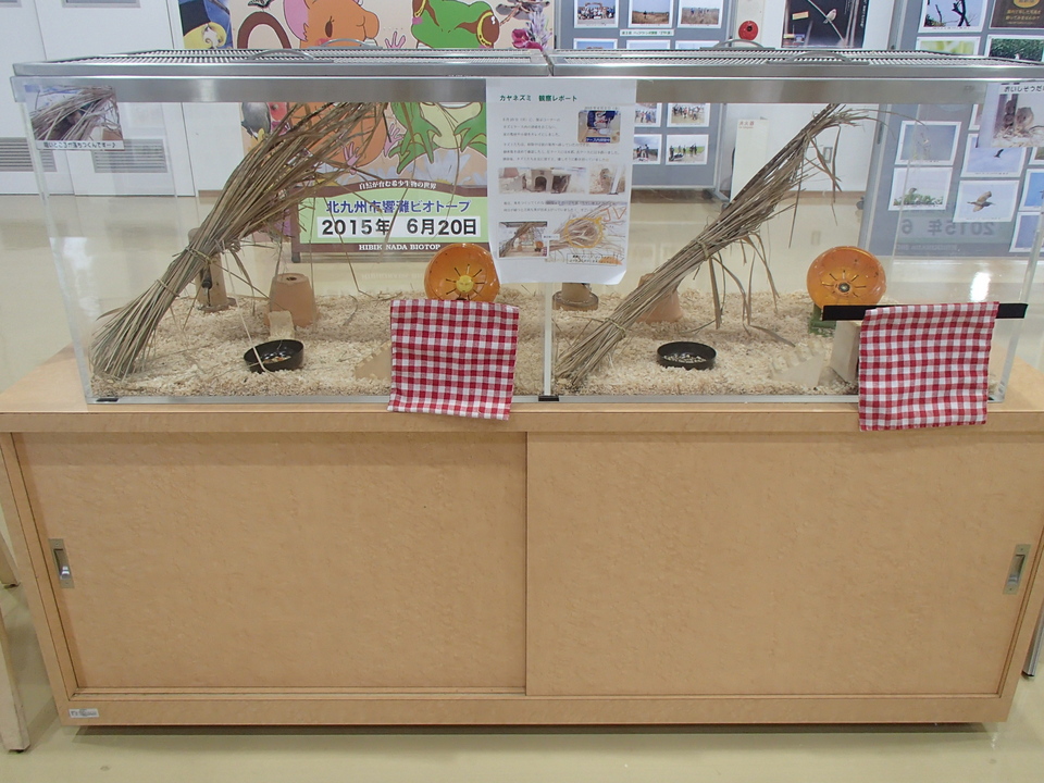 ④ケース.JPGのサムネイル画像