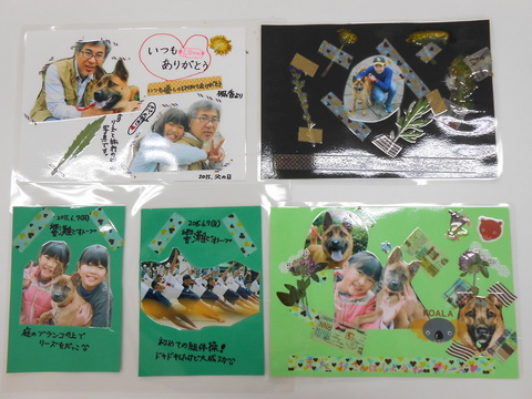 ⑨押し花.JPGのサムネイル画像