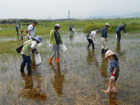 ⑬タニシ.JPGのサムネイル画像