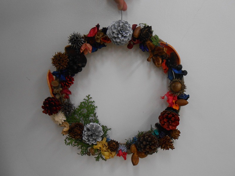 bio271124-1 (10).jpg