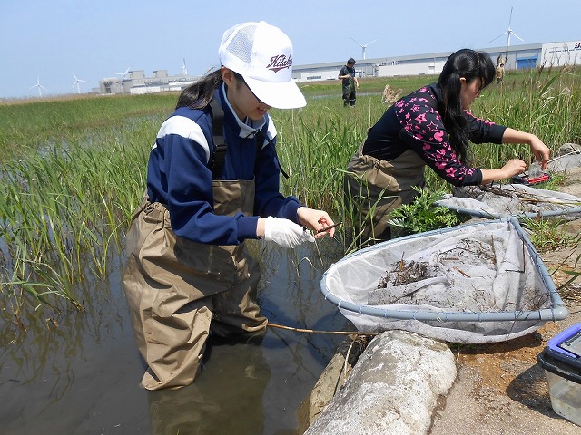 魚部活動風景 (1).jpg