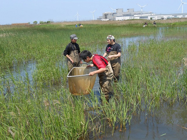 魚部活動風景 (2).jpg