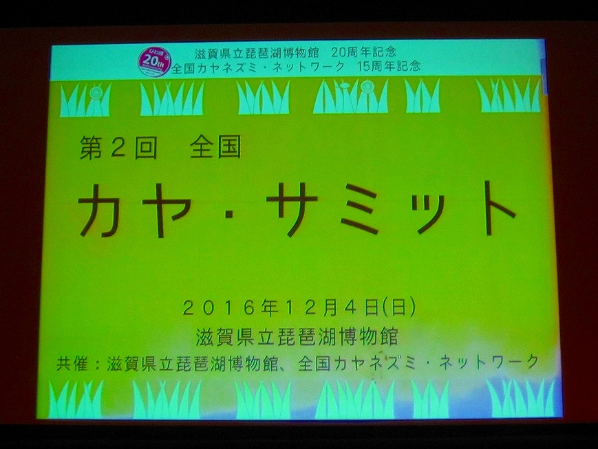 ④カヤサミット.jpg