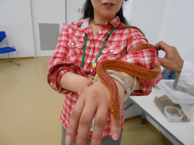 20180222写真８.jpg
