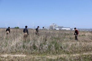 ベッコウ捜索中