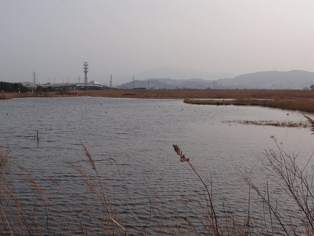 2016.2.27湿地